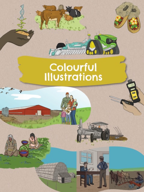 Colourful Illustrations